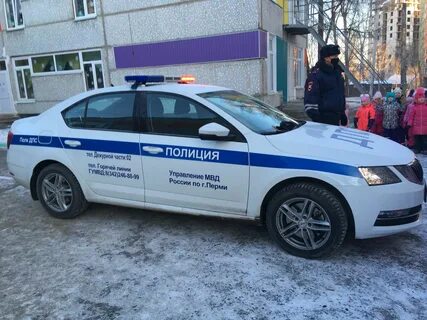 Полком дпс