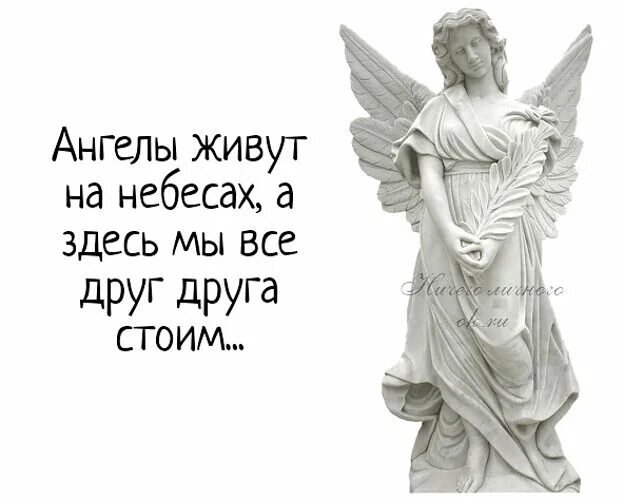 Ангелы проживают в своих. Ангелы живут. Стих ангелы проживают в своих облаках роскошных. Ангелы живут на небесах а здесь.