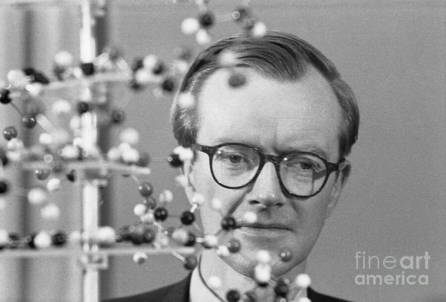 Морис уилкинс вклад. Морис уилкинс открытие. Уилкинс днк. Морис уилкинс. Морис уилкинс открытие.