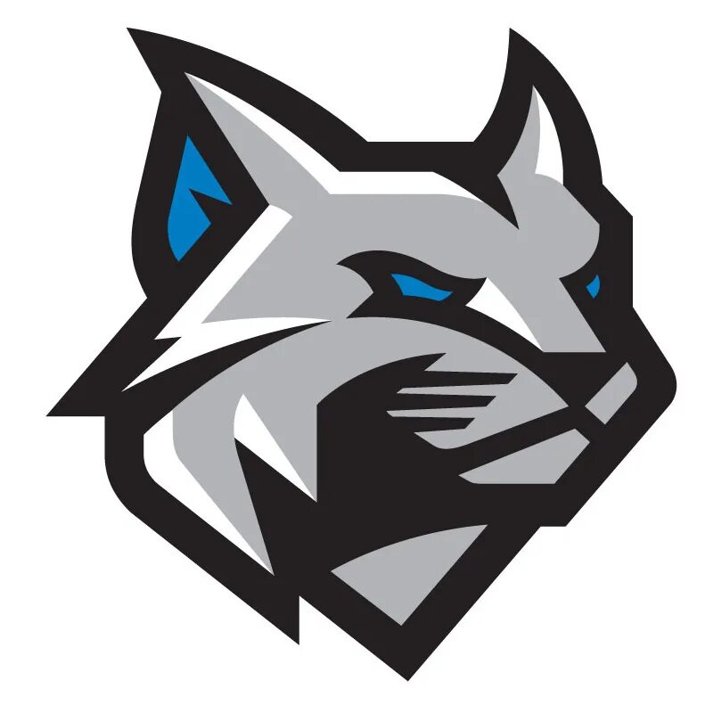 Символы племён котов воителей. Логотип для клана. Клан коте. Коты воители знаки племён. Клан коте.