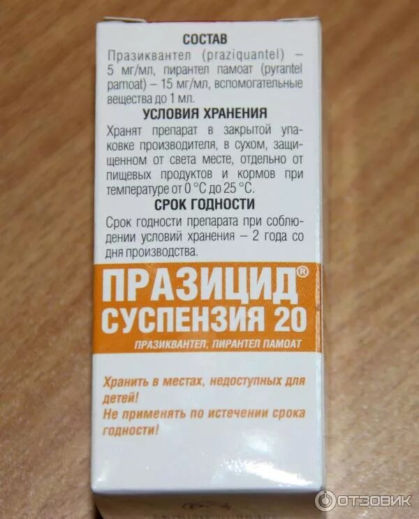 Можно ли давать котенку пирантел. Можно ли давать котенку пирантел
