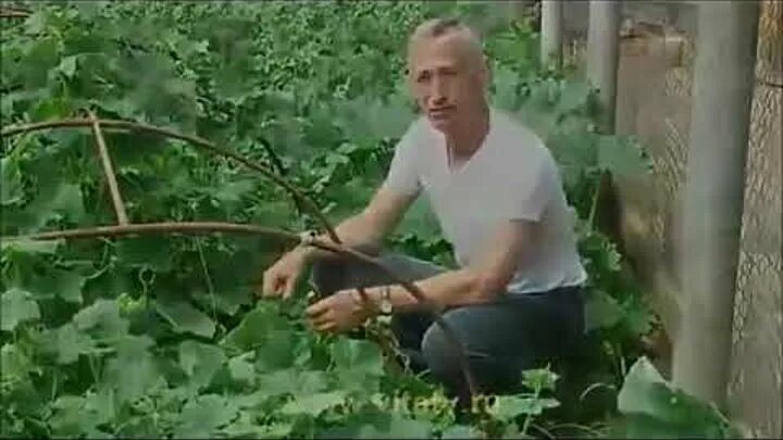 Доктор попов пр 4 фото У Психиатра v2 Форум