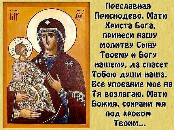 Сохрани в мою. Пресвятая богородица спаси и сохрани. пресвятой богородице помолимся пресвятая богородице спаси нас. молитва богородице пресвятая богородица спаси нас. упование на богородицу.