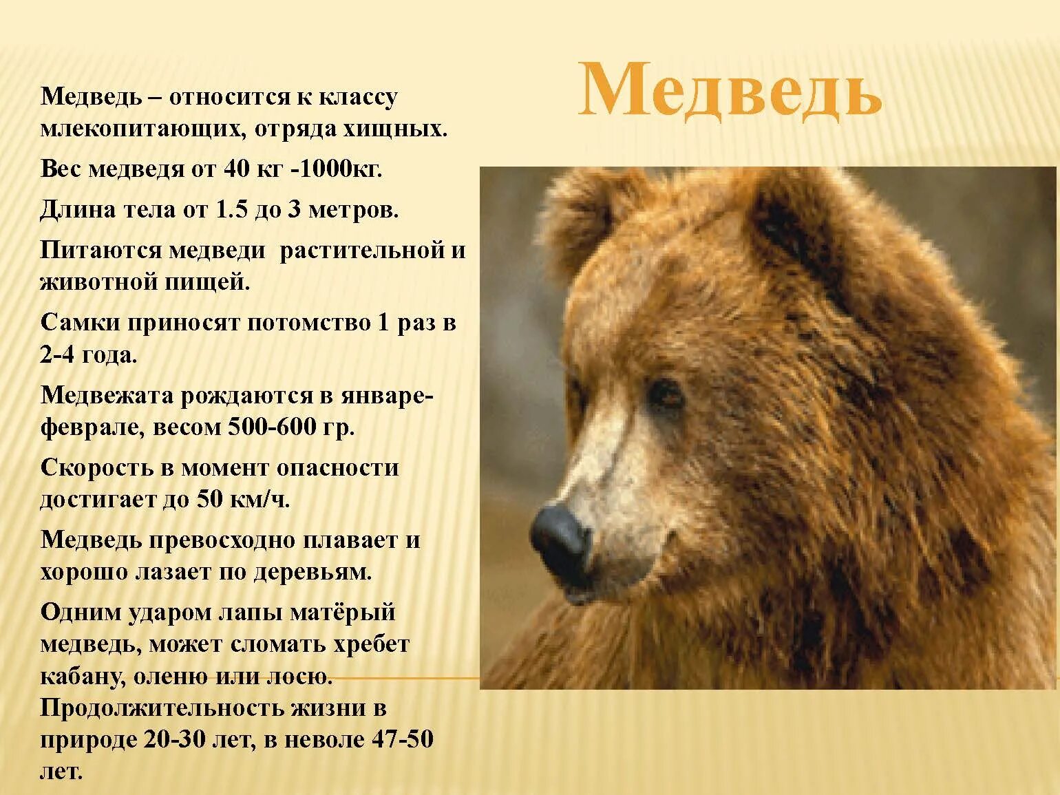 К какому классу относят животных. К какому классу относят животных