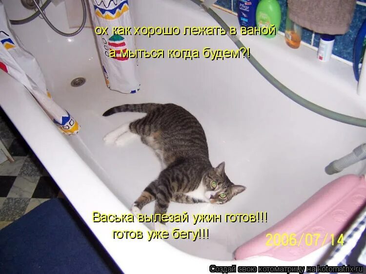 Хорошо лежим. Как хорошо лежать. Как хорошо лежать. Хорошо лежать пока где-то свирепствует работа. Как хорошо лежать пока где-то свирепствует работа.