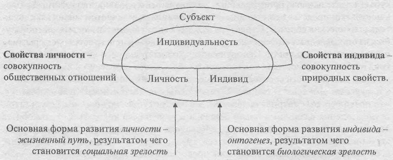 Соотношение понятий индивид субъект личность индивидуальность. Индивид субъект личность индивидуальность. Ананьев индивид личность индивидуальность. Взаимосвязь понятий индивид индивидуальность личность. Индивид, индивидуум, субъект, личность, индивидуальность..