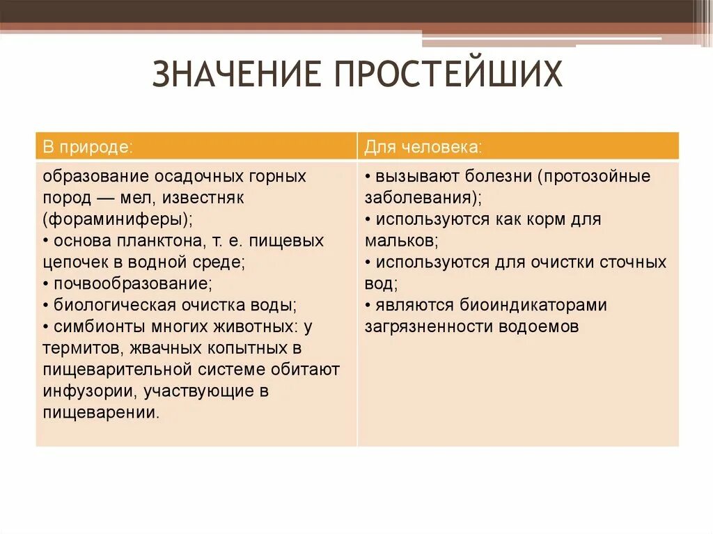 Что значит просто дать. Значение простейших. Положительное значение простейших. Отрицательное значение простейших. Значение простейших для человека.