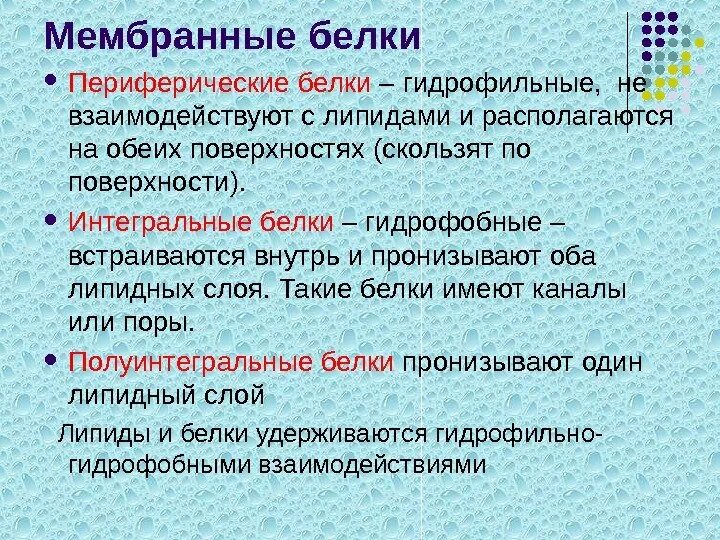 Функции мембранных белков. Мембранные белки функции. Периферические белки мембраны функции. Характеристика белков мембраны; строение и функции. Мембранные белки функции.
