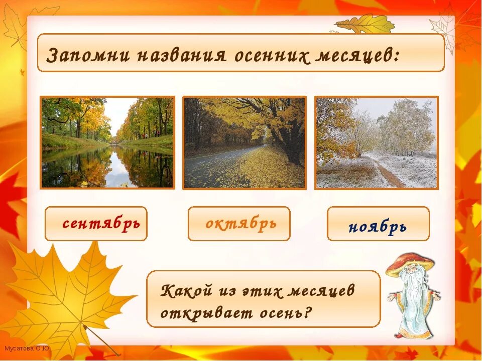 Название осенних месяцев. Месяцы осени для дошкольников. Осень сентябрь октябрь ноябрь. Ноябрь осенний месяц.