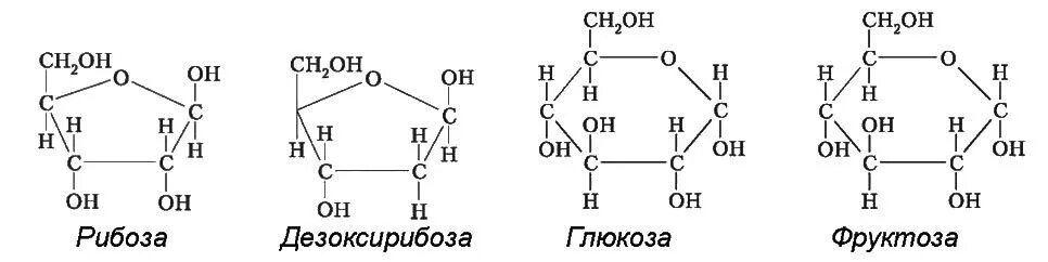 Глюкоза галактоза рибоза. Строение Глюкозы фруктозы галактозы. Строение Глюкозы, маннозы, галактозы, фруктозы. Фруктоза Глюкоза рибоза дезоксирибоза галактоза. Глюкоза рибоза фруктоза формула.