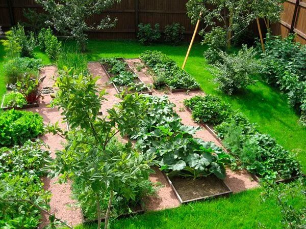 front yard garden inspiration THE PLACE HOME Garden layout, Garden planning, Fro