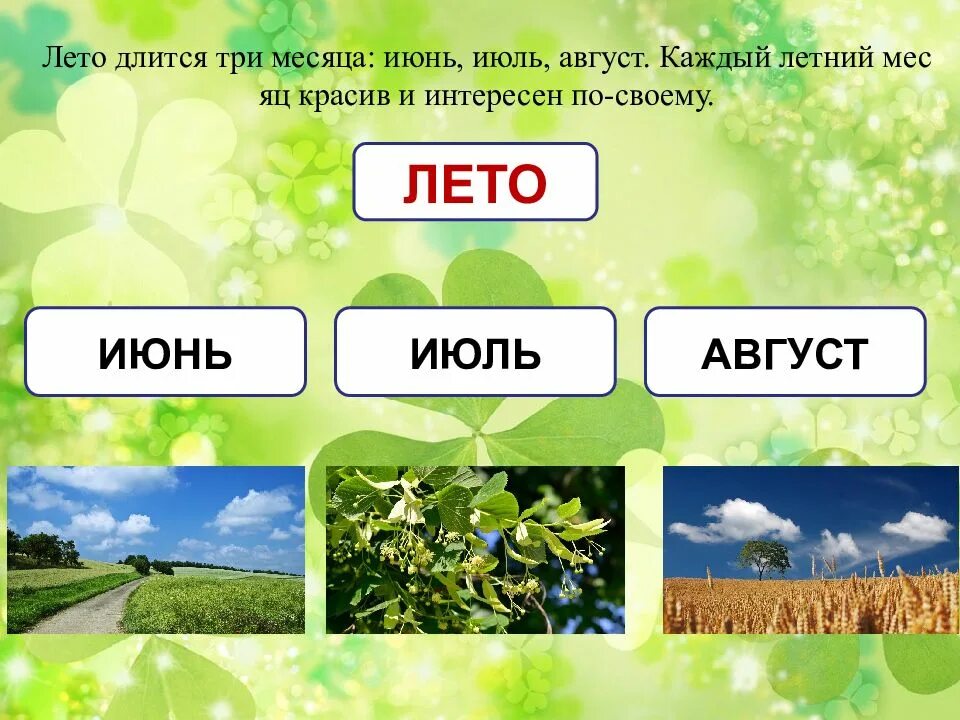 Какой по порядку август. Летние месяцы. летние месяцы для детей. лето июнь июль август. летние месяцы задания.