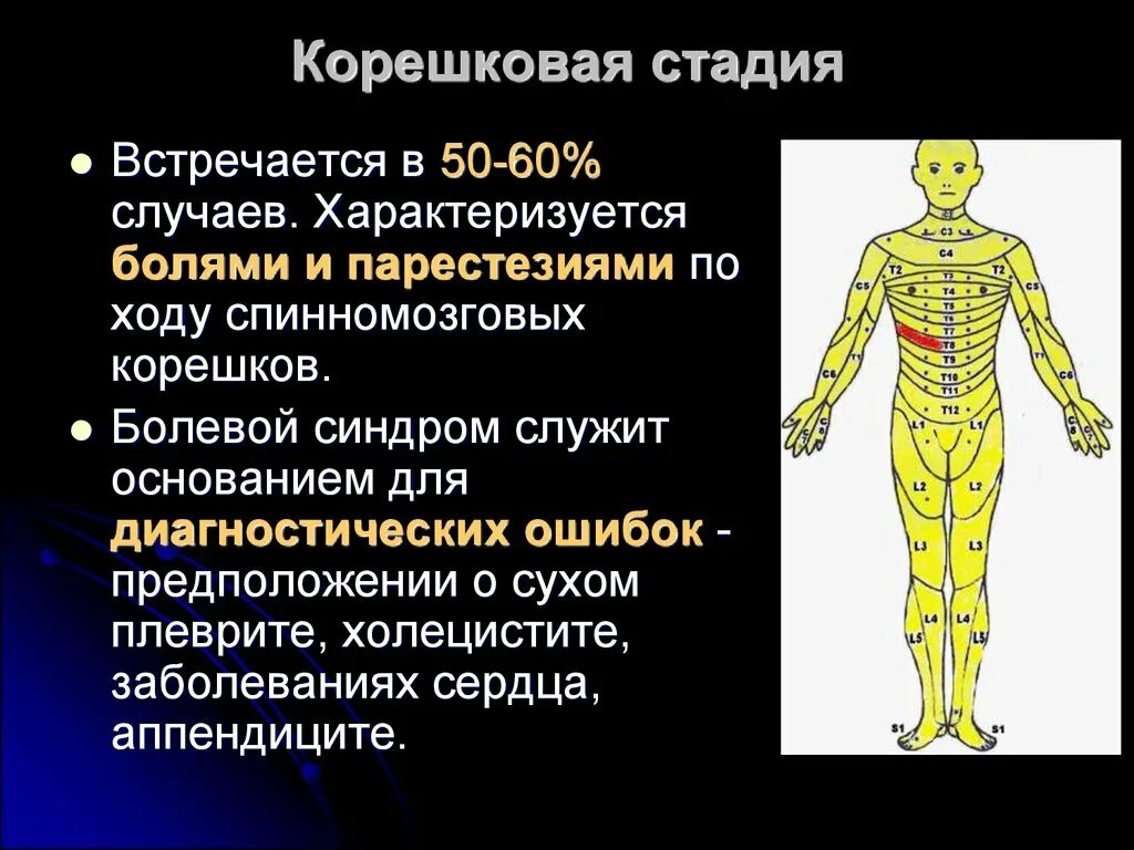 Поражение корешковых нервов. Корешковый синдром л1. Корешковая стадия. Корешковый болевой синдром. Корешкова симптоматика.