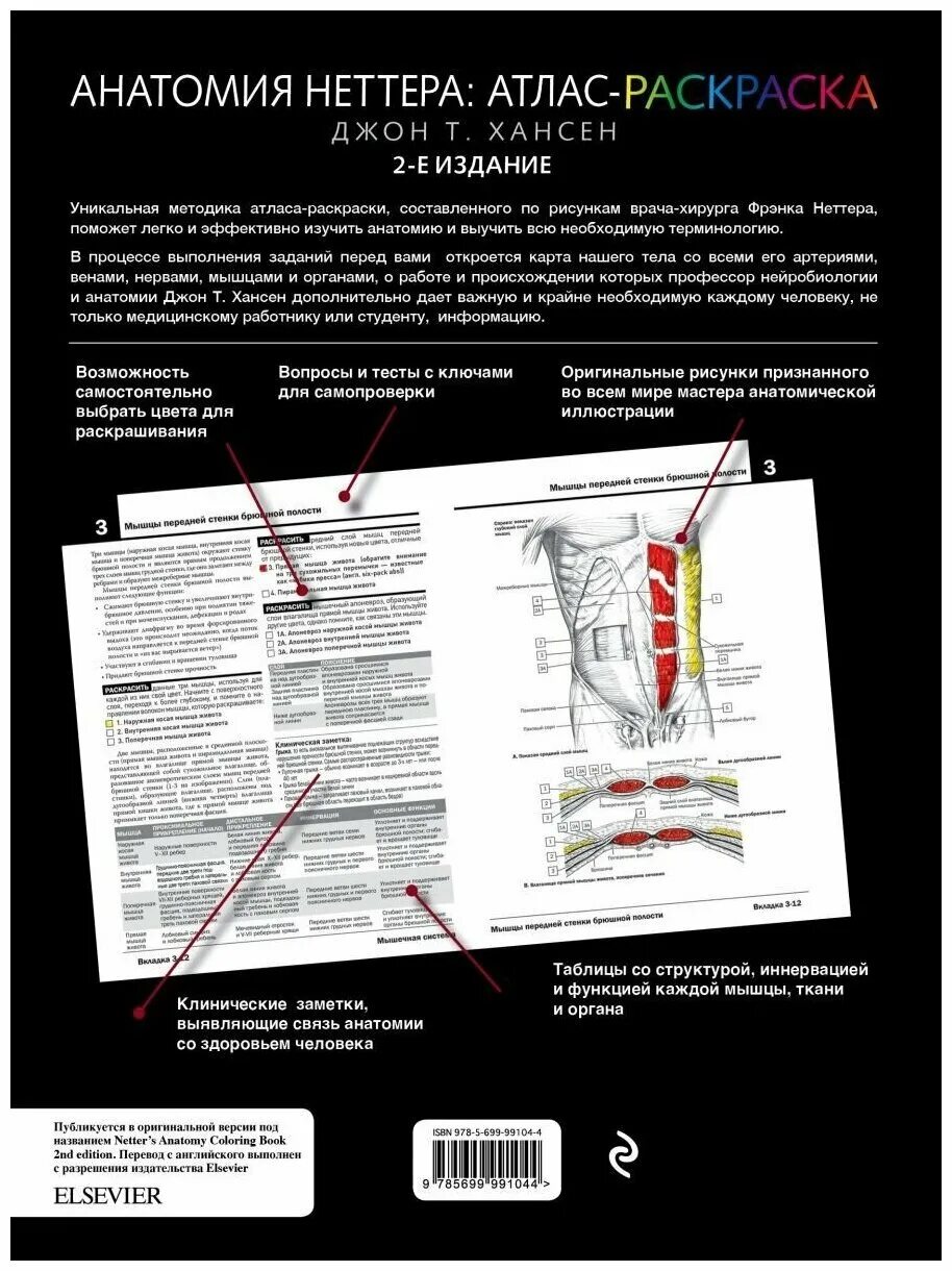 Джон Хансен анатомия Неттера. Атлас по анатомии Фрэнка Неттера. Атлас раскраска Неттера неврология. Анатомия Неттера: атлас-раскраска | Хансен Джон т.. Атлас раскраска неттера