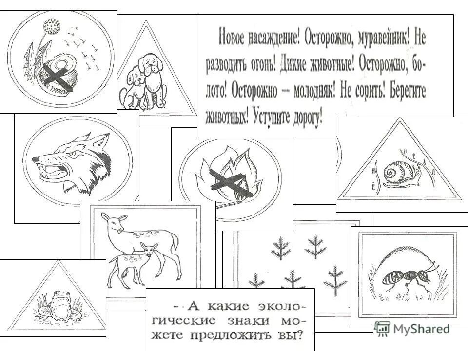 Берегите животных раскраска 3 класс окружающий мир. Береги природу раскраска. раскраска бережем природу для детей. задания для детей по теме охрана природы. плакат береги природу раскраска.