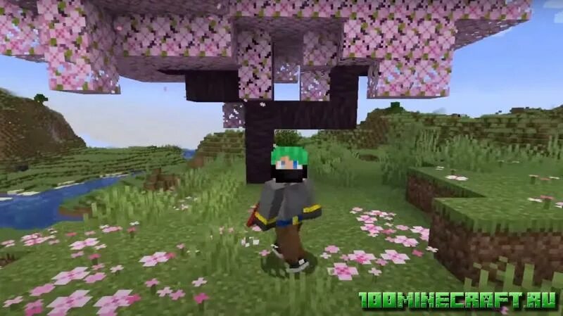 Cloaks minecraft