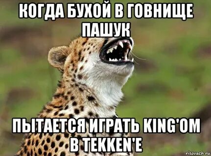 Полнейшее говнище