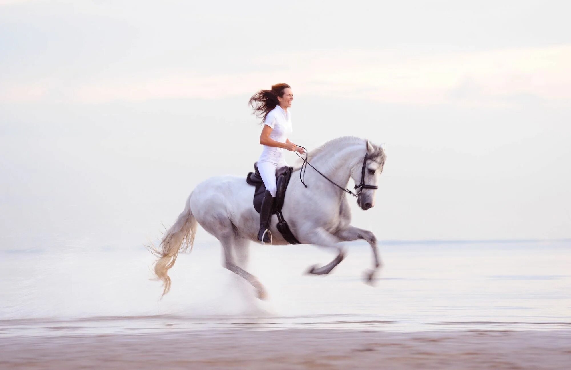 Белые наездницы. Девушка верхом на лошади. Всадница. Белые наездницы. Наездница с лошадью.