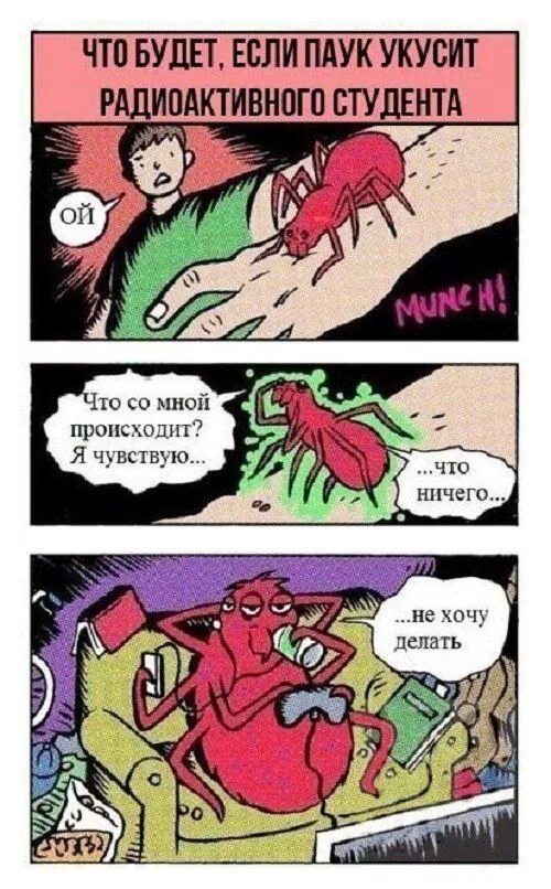 Радиоактивен паук укусил. Радиоактивный паук. укус радиоактивного паука. радиоактивный паук в реальной жизни. человек паук радиоактивный паук.