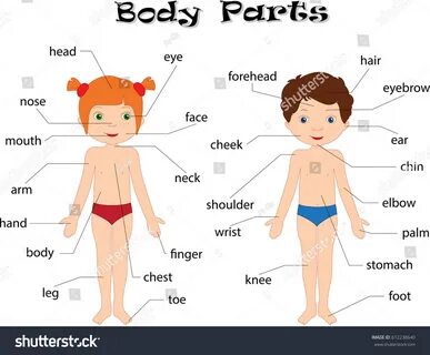 Body на русском