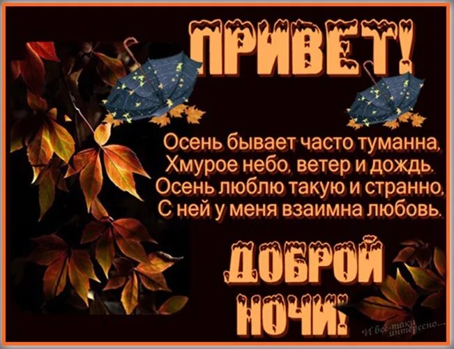 Доброго вечера и доброй ночи осень. Осенние пожелания спокойной ночи. спокойной о енней ночи. доброй осенней ночи. доброй осенней ночи пожелания.