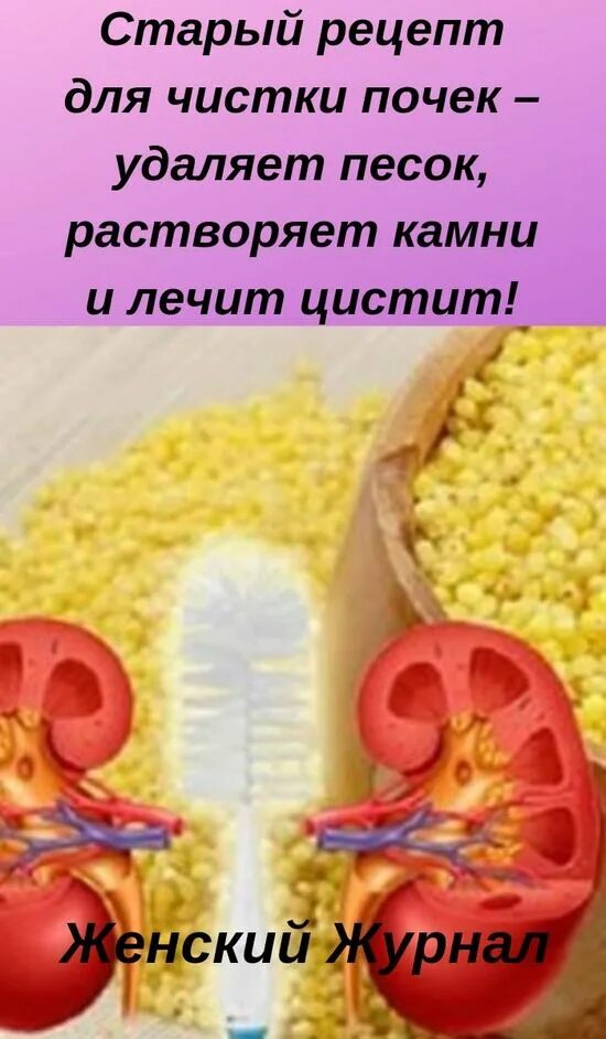 Как выгнать песок из почек. Очищение почек от камней.