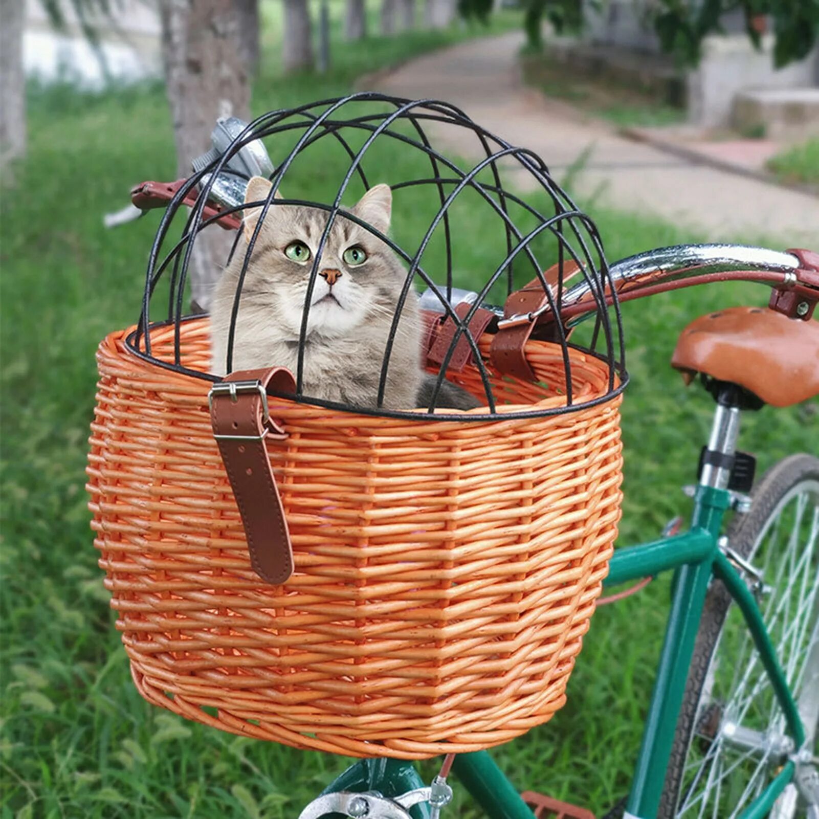 Велосипедная корзина для животных. Плетеная корзина для животных велосипед. Корзинка для собаки на велосипед. Корзинка для кошки на велосипед.
