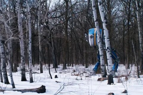 Рассказов из петли