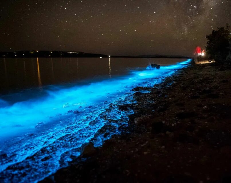 Остров ваадху мальдивы светящийся пляж. Свечения ночью. Остров ваадху мальдивы. Остров ваадху мальдивы. Планктон.