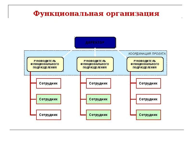 Функциональная организация движений