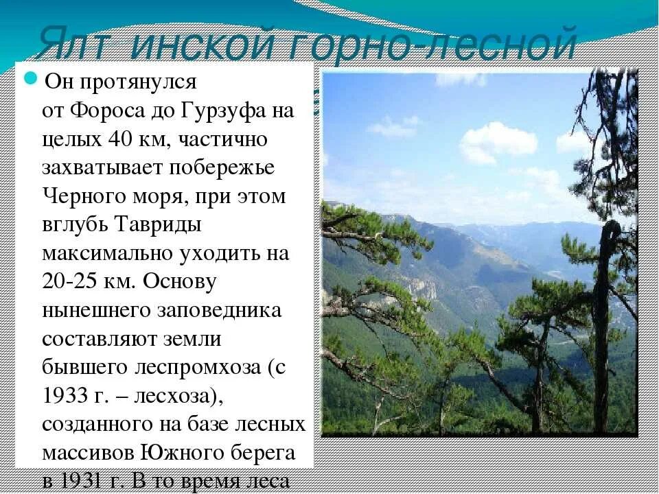 Ялтинский Горно Лесной заповедник в Крыму. Ялтинский Горно-Лесной заповедник описание. Ялтинский Горно-Лесной заповедник презентация. Ялтинский Горно Лесной заповедник краткое описание.