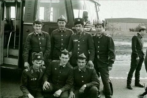83 86 год