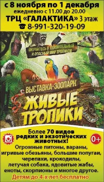 Зоопарк живые тропики. Выставка зоопарк. Каскад живые тропики. Зоопарк живые тропики. Каскад живые тропики.