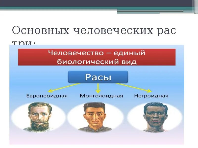 6 человеческие расы