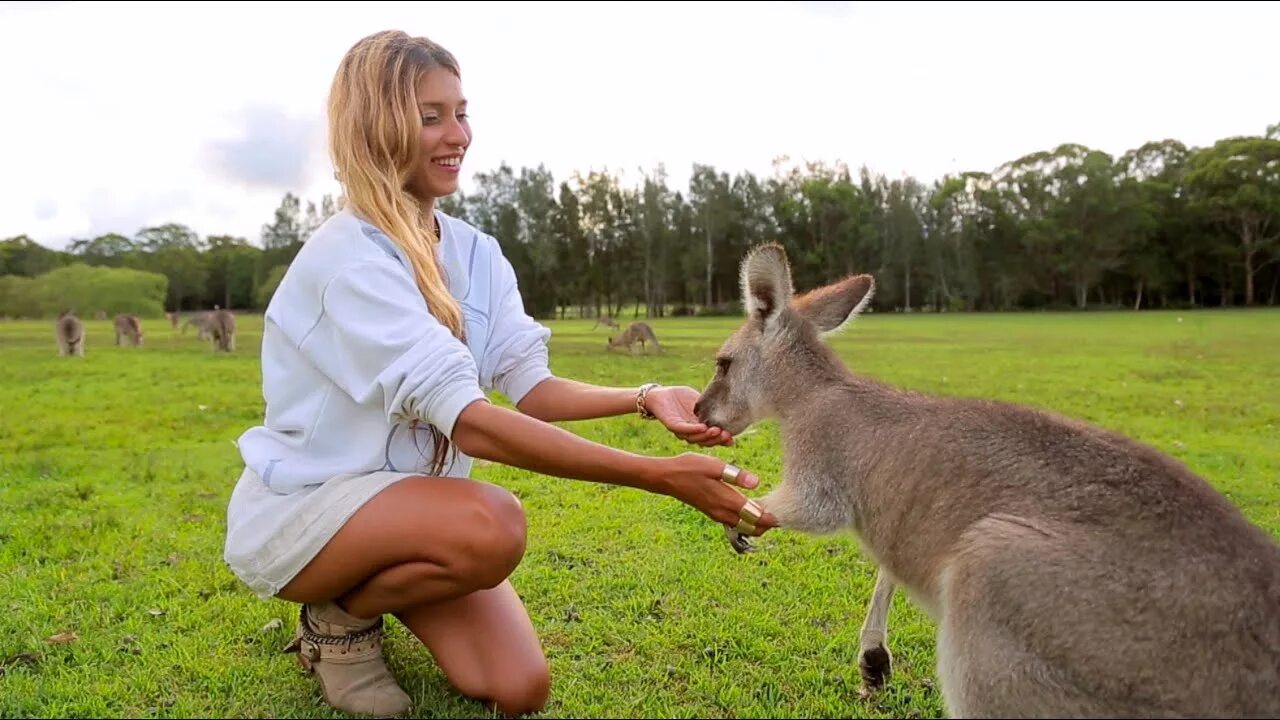 Орел и решка австралия. Орел и решка мельбурн. Орел и решка австралия. Орел и решка австралия. Орел и решка бразилия.