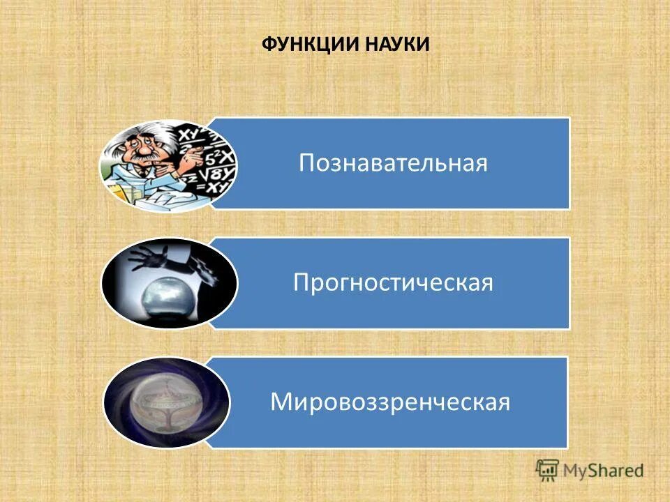 практическая функция экономической теории характерно. познавательная ответ 1. охарактеризуйте функции культуры. познавательная ответ 1. назовите основные функции философии.