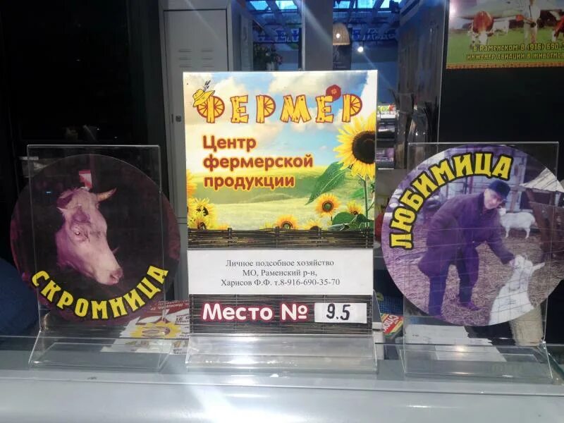 График работы магазина образец. Вывеска с режимом работы. Вывески с графики работы в поликлинике. Благовещенска режим магазина работ работы. Где находится почта.