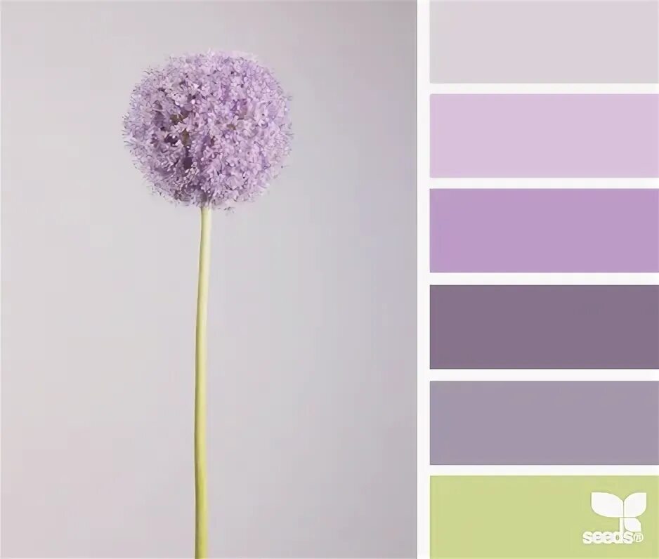 Design Seeds ® for all who ❤ color Color palette design, Seeds color, Design see