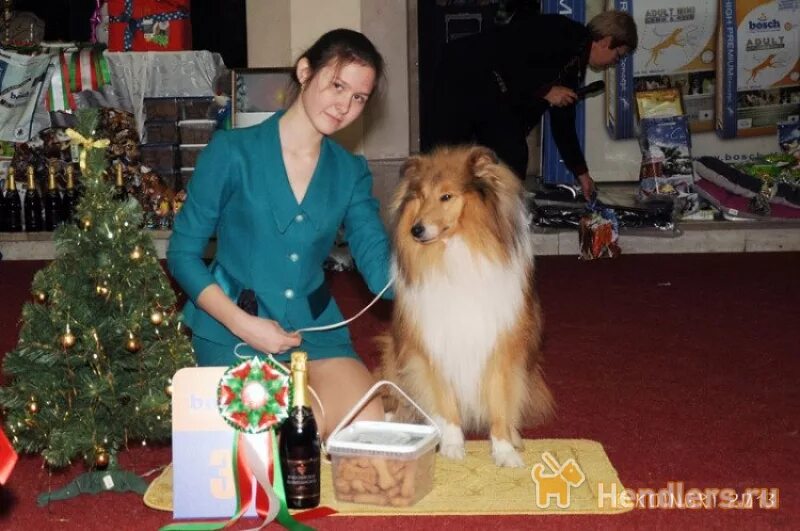 каштанка 6. каштанка 2020 спектакль. каштанка 6. каштанка 6. чехов каштанка 1 и 2 глава.