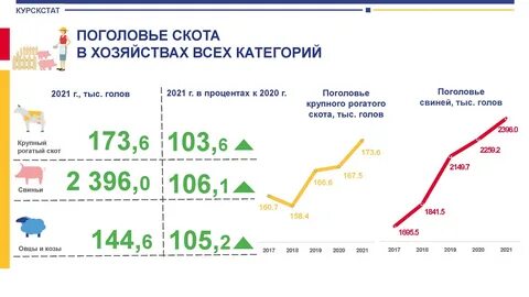 Категории 2020 года
