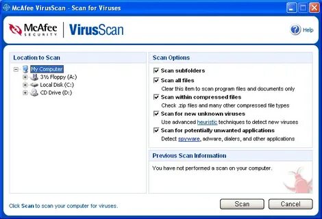 Your scan