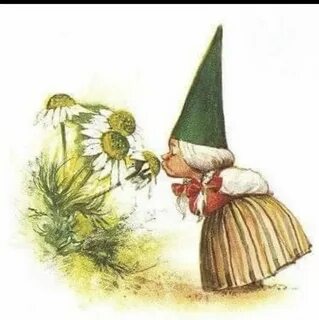 Gnomes and fairies marco cutini