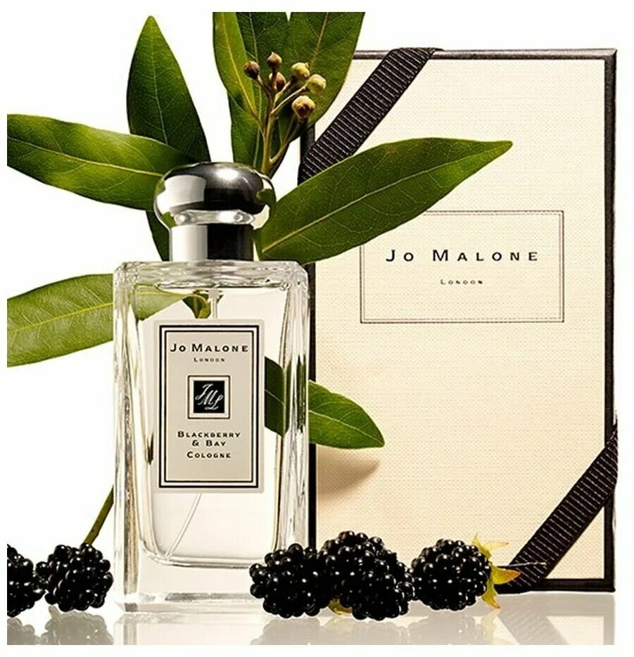 Джо малон духи отзывы. Jo Malone BLACKBERRY & Bay 100ml. Jo Malone BLACKBERRY Bay Cologne, 100 ml. Jo Malone духи BLACKBERRY Bay Cologne. Парфюм Джо Малон ежевика.