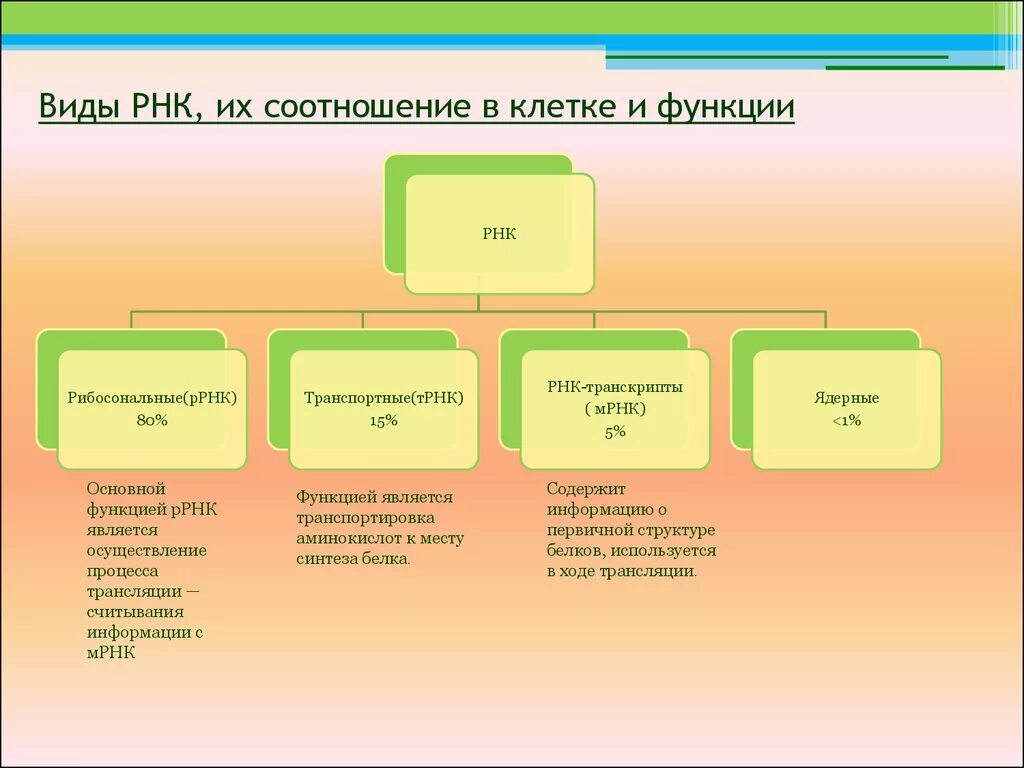 Биологические свойства рнк. Виды РНКИ из роль в клетки. Виды клеточных РНК таблица. Виды и функции РНК.