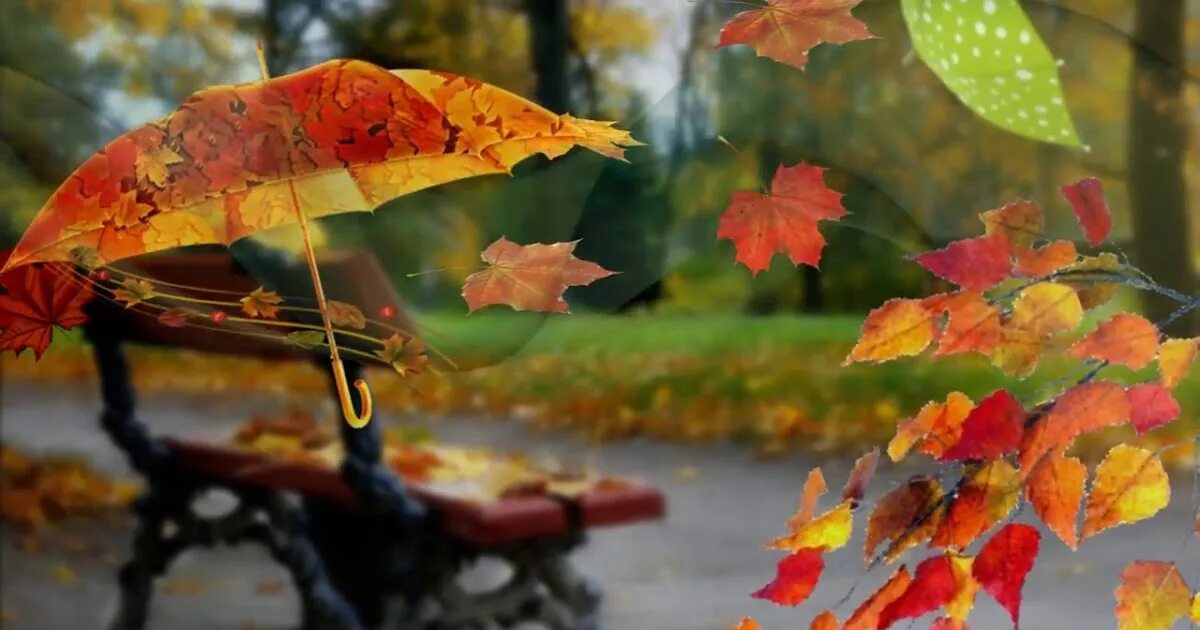 Дождливый осенний день. Пора осенняя с дождем. Поздняя осень. Осень солнечная и дождливая. Пора осенняя с дождем.