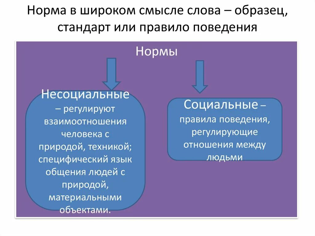 Совокупность социальных норм и социальных санкций. Совокупность социальных норм и социальных санкций