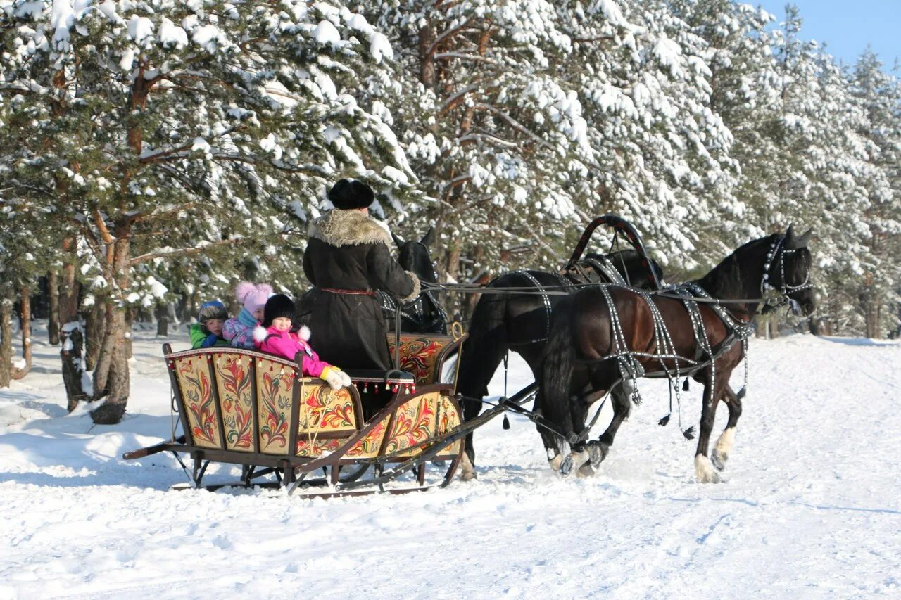 Новогодняя нелжа воронеж. Нелжа рамонский район парк семейного отдыха. парк в рамони нелжа. нелжа зимой рамонский район парк семейного отдыха. зимние конные сани.