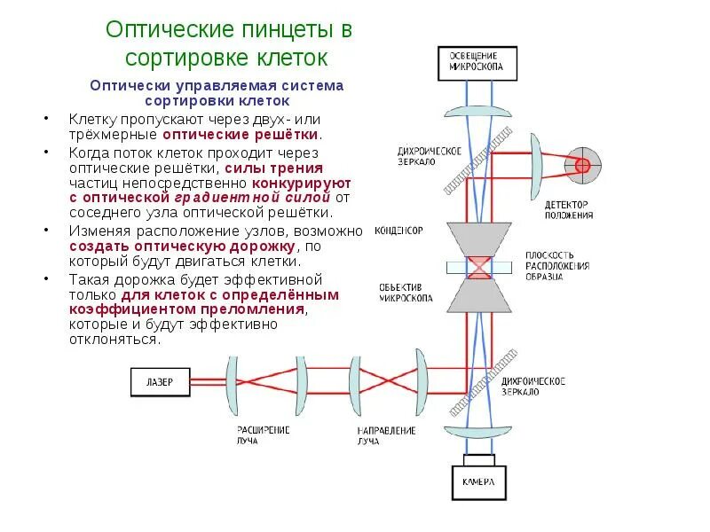 Оптическая система глаза состоит из. Оптическая система с призмой ар60. Оптическая система в которой. Оптическая система в которой. Строение оптической системы глаза.
