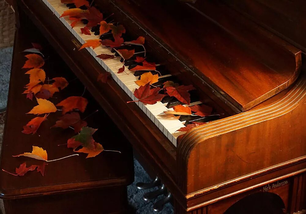 музыкальный пейзаж. пианино в лесу. фортепиано на природе. солнечное пианино. фортепиано красивое.
