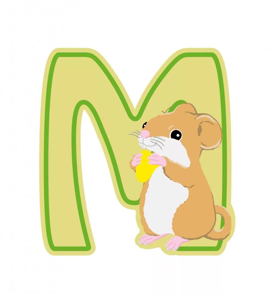 4 m cartoon